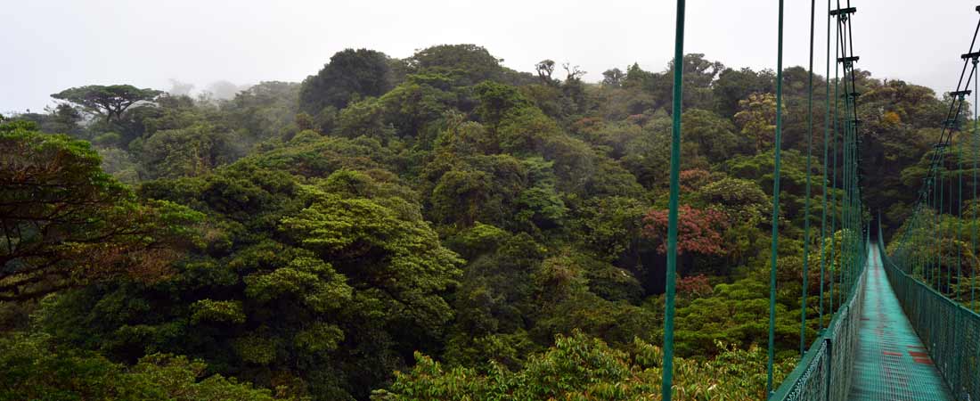 Costa Rica : la réserve de Monteverde