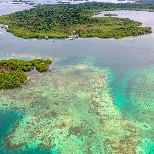 Bocas del Toro au Panama, des îles aux eaux cristallines