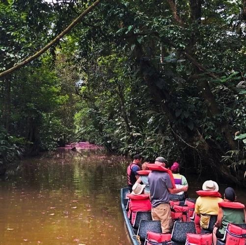 Visite guidée en bateau à travers les magnifiques canaux de Tortuguero au Costa Rica