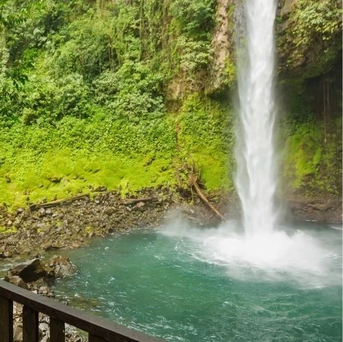 Cascade de 70 mètres de la rivière Fortuna au Costa Rica, plongeant dans un bassin naturel entouré d’une forêt tropicale luxuriante.