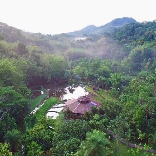 Environnement naturel du Macaw Lodge à Carara au Costa Rica