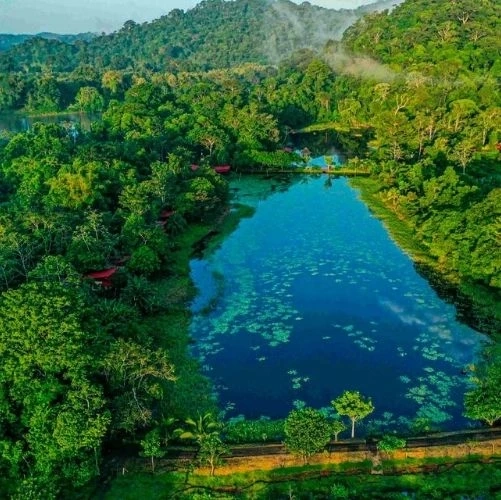Trek dans la forêt tropicale du Refuge National de Faune Sauvage de Maquenque, en bordure de la rivière San Carlos au Costa Rica