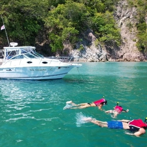 Snorkeling à Isla Jesusita dans le golfe de Nicoya au Costa Rica