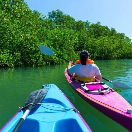 Deux kayaks naviguant à travers la lagune côtière de Pejeperro, sous un ciel bleu éclatant.