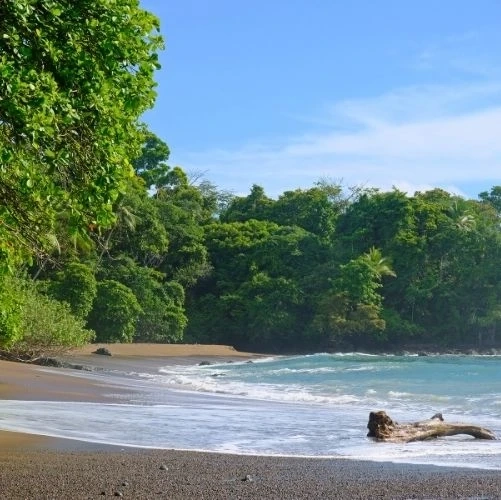Le merveilleux littoral de Drake Bay au Costa Rica