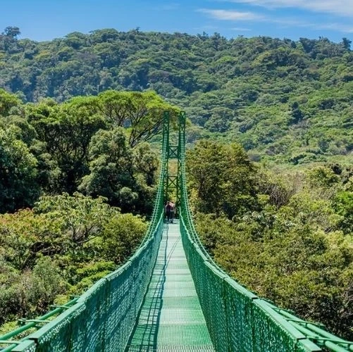 Pont suspendu, ou passerelle à la cime des arbres au Selvatura Park à Monteverde au Costa Rica