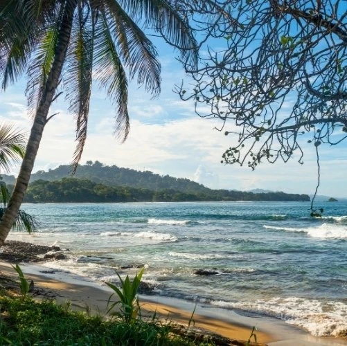Belle plage de Cocles à Puerto Viejo de Talamanca au Costa Rica