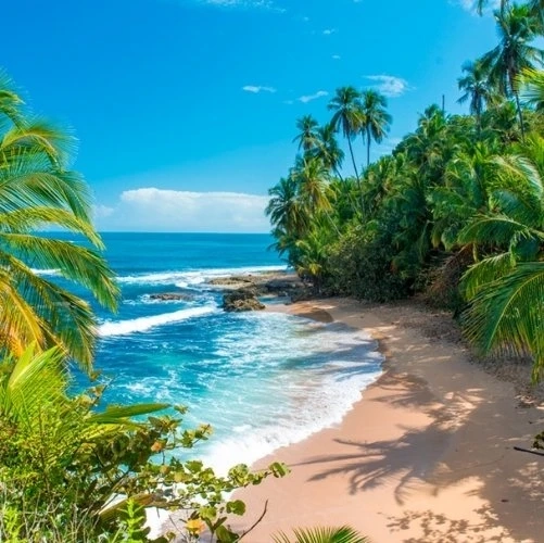 La plage Playa Chiquita à Puerto Viejo au Costa Rica