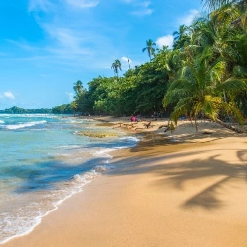 Playa Chiquita, la plage de l'hôtel Aguas Claras à Puerto Viejo au Costa Rica