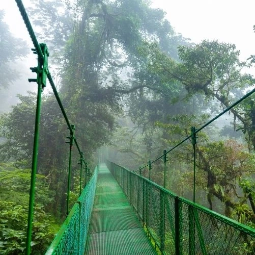 Pont suspendu de Selvatura dans la forêt nuageuse du Costa Rica.