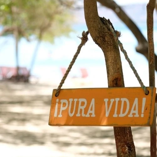 Panneau Pura Vida, ou vie pure, suspendu à un arbre sur une plage du Costa Rica