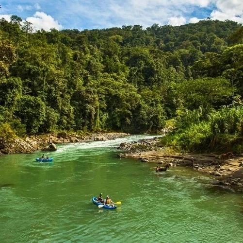 Rafting au cœur de la jungle luxuriante du Rio Pacuare au Costa Rica
