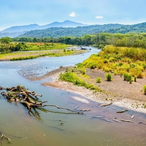 Vue sur la rivière Tarcoles depuis le pont des Crocodiles au Costa Rica