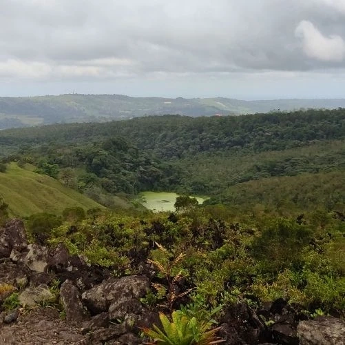 Vue sur la lagune verte depuis le Sentier 1968 à Arenal au Costa Rica