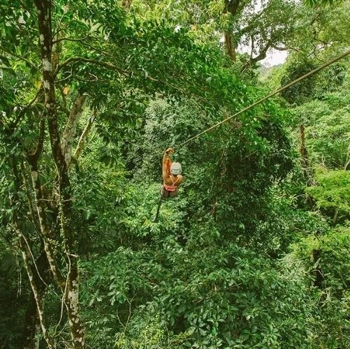 Tyrolienne dans la canopée d'Osa au Costa Rica