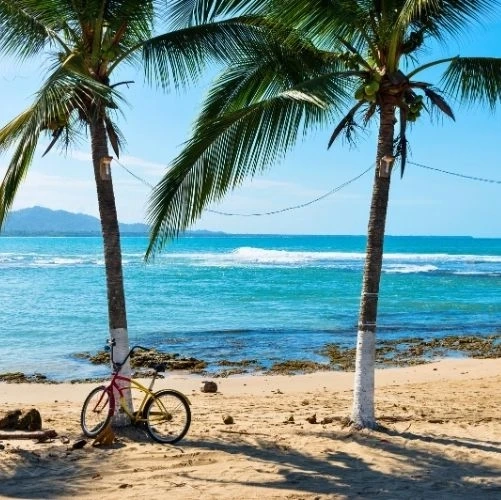 Vélo adossé à un palmier sur une plage de Puerto Viejo de Talamanca au Costa Rica