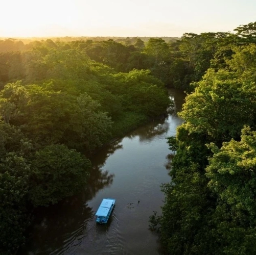 Bateau dans les mangroves de Cano Negro au Costa Rica