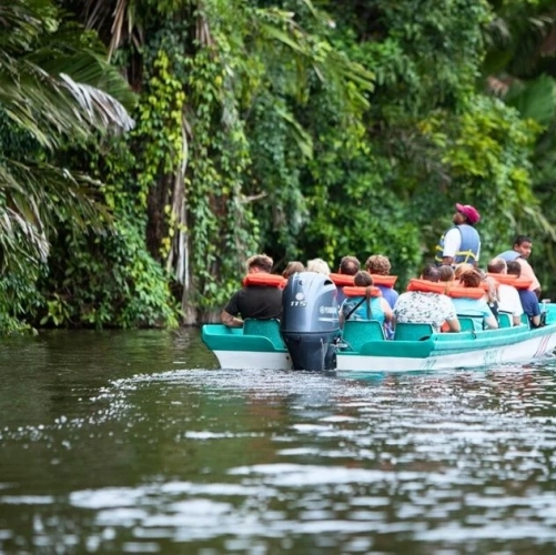 Bateau à moteur à Tortuguero
