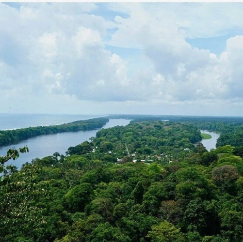 Canaux de Tortuguero