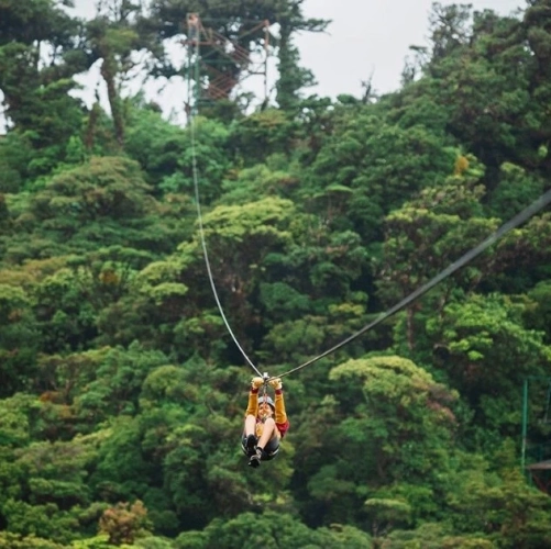 Canopy