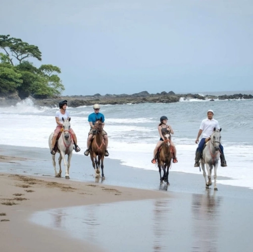 Promenade à cheval sur la plage