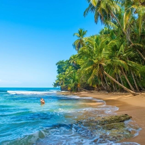 Plage sauvage du parc Manzanillo au Costa Rica