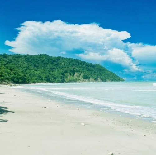 Plage de sable blanc de la réserve de Cabo Blanco au Costa Rica