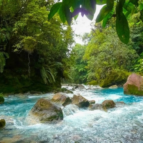 Les eaux bleues du Rio Celeste dans le parc du Volcan Tenorio au Costa Rica