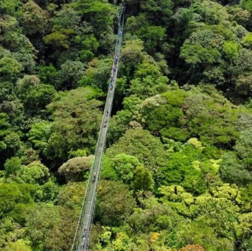 Vue aérienne sur la forêt de Monteverde au Costa Rica