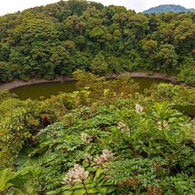 Vue sur la lagune de Barva dans le paysage de forêt nuageuse de la section Barva du parc national Braulio Carillo au Costa Rica