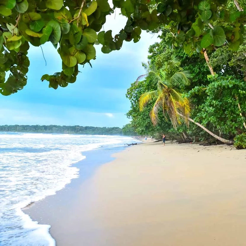Plage et forêt tropicale humide du Parc national Cahuita au Costa Rica
