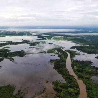 La réserve faunique nationale mixte Caño Negro au Costa Rica, à la fois terrestre et aquatique
