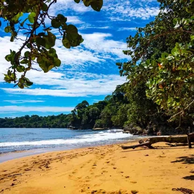 Plage paradisiaque du Refuge National Gandoca-Manzanillo