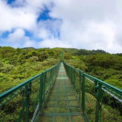 Pont suspendu dans la réserve de forêt nuageuse de Monteverde au Costa Rica