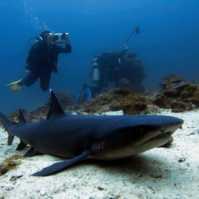 Plongée sous-marine Costa Rica