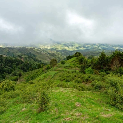 Forêt tropicale du parc national de Tapanti au Costa Rica, sous un ciel nuageux